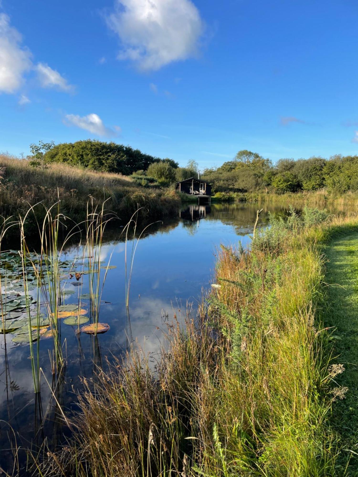 Lake Villa Holiday Cottages Holsworthy Eksteriør bilde